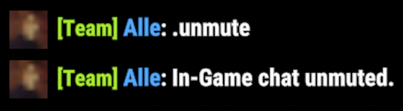 unmute-in-game-command